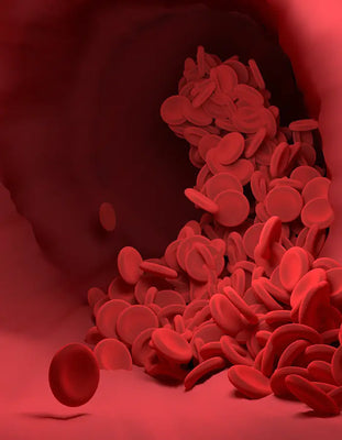 Peripheral blood flow