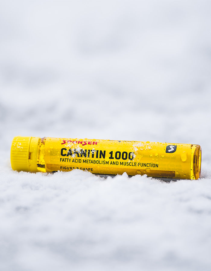 l carnitine loading phase L-Carnitine loading